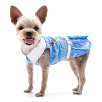 Summer Beach Blue with Colorful Sailboats Dog Dress