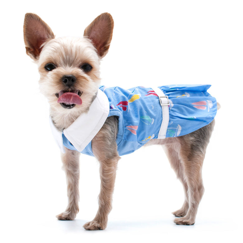Summer Beach Blue with Colorful Sailboats Dog Dress