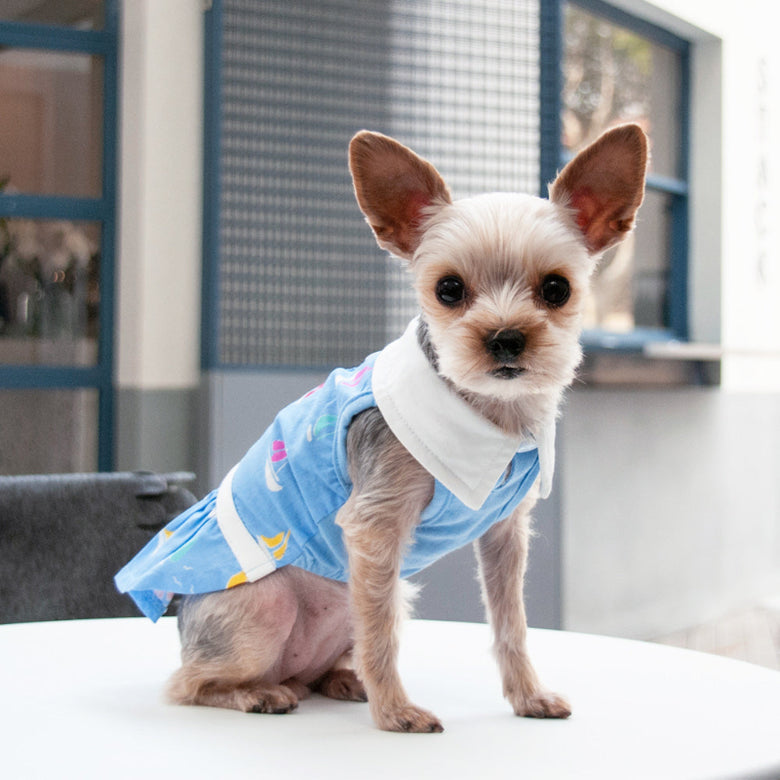 Summer Beach Blue with Colorful Sailboats Dog Dress