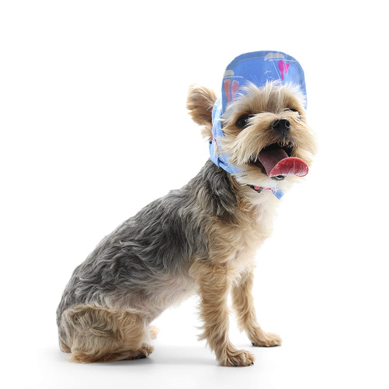 DogoPet.com Baseball Hat Summer Beach Hat