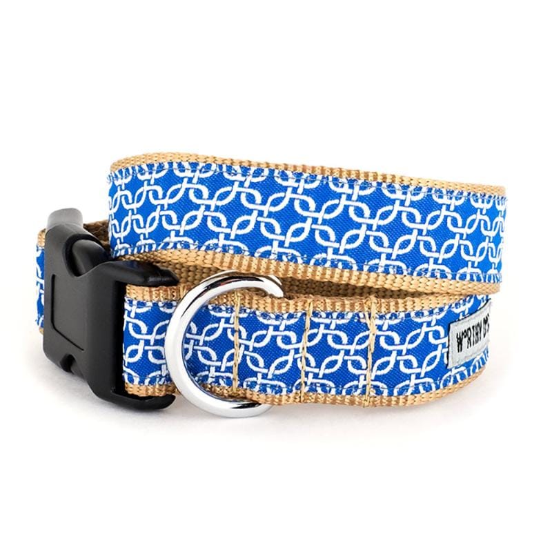 The Worthy Dog COLLARS XS Links Blue & Gold Dog Collar