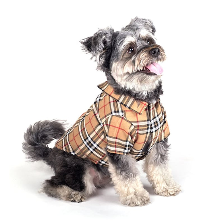 The Worthy Dog CollardShirts Tan Plaid Collared Dog Shirt