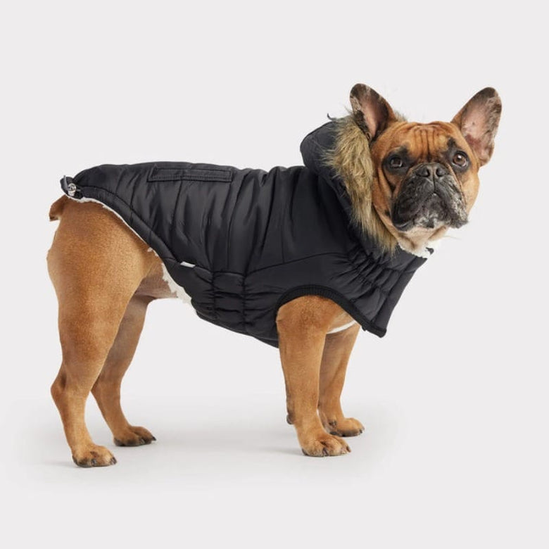GF Pet Jackets Black Elasto-Fit Urban Dog Parka