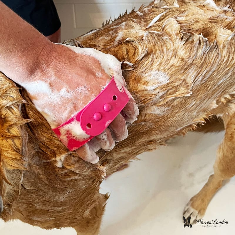 Warren London Pet Combs & Brushes Grooming Bath Brush