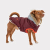 GF Pet Jackets Winter Sailor Burgendy Dog Parka - Only Available in Sizes 2XS and XS