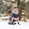 GF Pet Jackets XXS Winter Sailor Navy Dog Parka - Only Available in Size 2XS