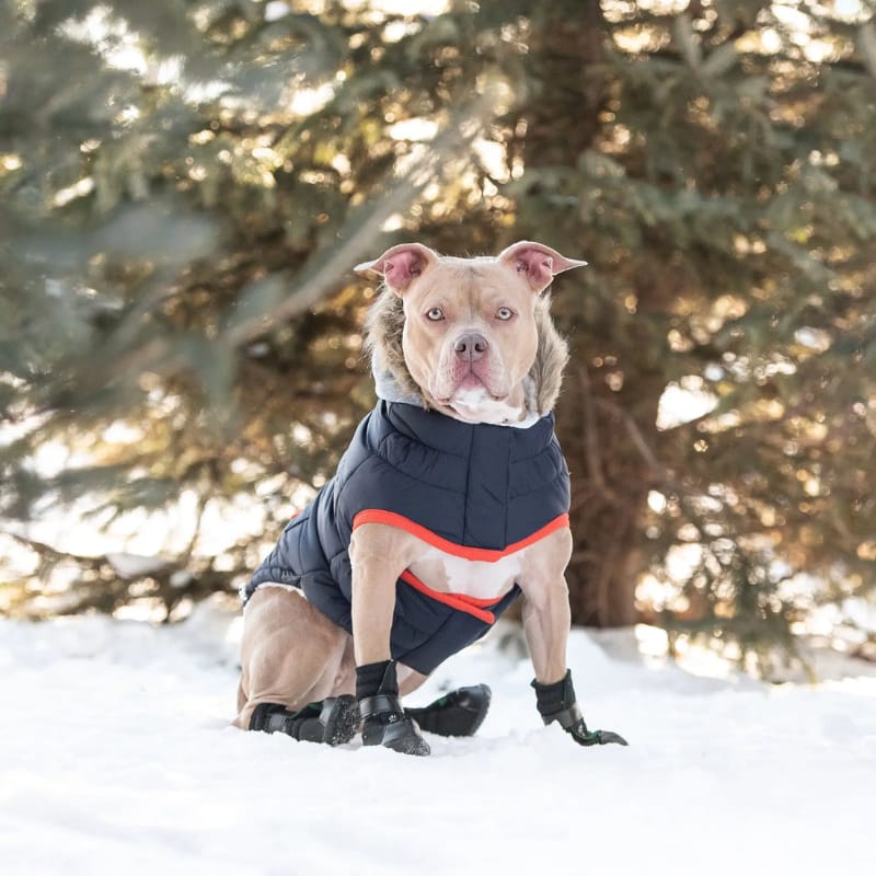 GF Pet Jackets XXS Winter Sailor Navy Dog Parka - Only Available in Size 2XS