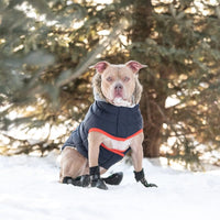 GF Pet Jackets XXS Winter Sailor Navy Dog Parka - Only Available in Size 2XS