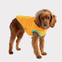 GF Pet Jackets XXS Winter Sailor Yellow Dog Parka - Only Available in Size 2XS