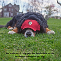GA Bulldogs Red Baseball Pet Cap