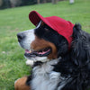 GA Bulldogs Red Baseball Pet Cap