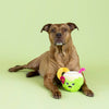 Petshop by Fringe Studio dog toys Coca-Nutz About You Plush Dog Toy