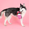 Petshop by Fringe Studio dog toys My Heart Pops For You Pink Plush Squeak Dog Toy