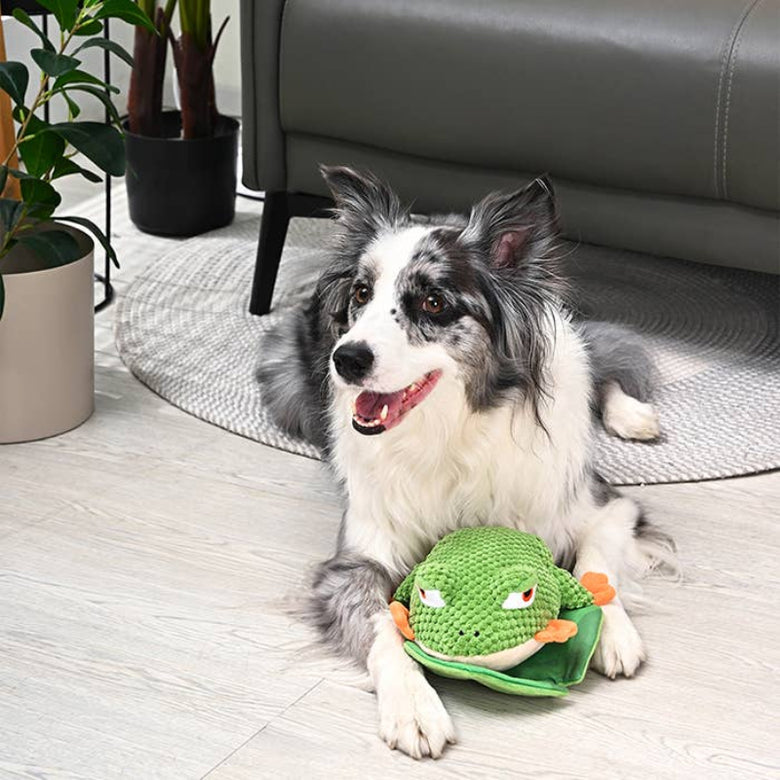Hugsmart Products Inc Hugsmart Products Inc - HugSmart Pet - Jungle Tails | Tree Frog - Dog Plush Toy