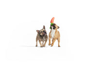 BARK dog toys Super Chewer Red Habanero Pupper Rubber Dog Chew Toy