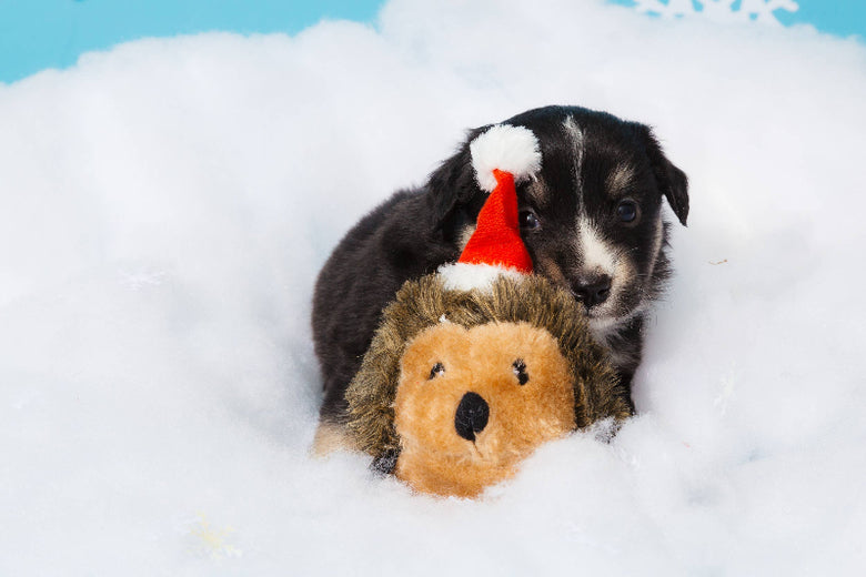 Christmas Holiday Hedgehog Plush Squeaky Dog Toy - 2 Sizes