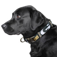 Little Earth Productions Collars Green Bay Packers Premium Pet Collar