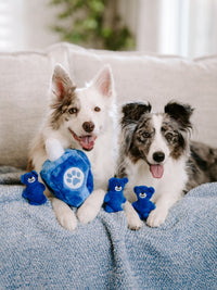 Hanukkah Burrow Dreidel Plush Squeaky Interactive Holiday Dog Toy Set - 4 Pc