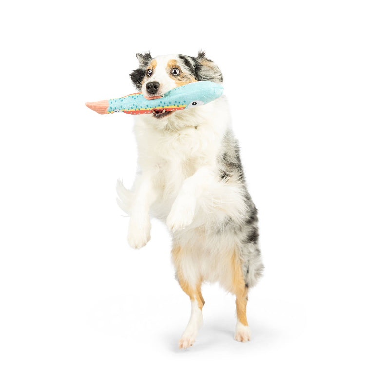 Huxley & Kent Huxley & Kent - Fetchies® Travis Trout Dog Toy: Small