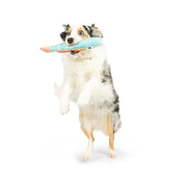 Huxley & Kent Huxley & Kent - Fetchies® Travis Trout Dog Toy: Small