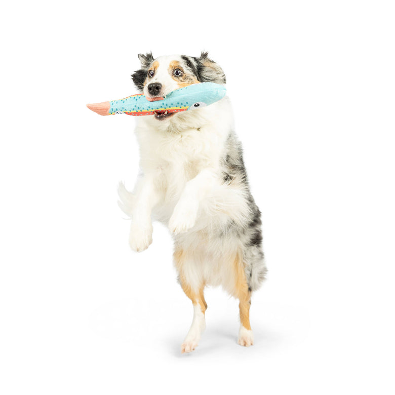 Huxley & Kent Huxley & Kent - Fetchies® Travis Trout Dog Toy: Small