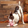BARK dog toys Hambone Pig Hog Rubber Super Chewer Pink Dog Toy - Med