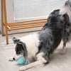 Puppy Garden Spring Watering Can Plush Squeaky Ball Dog Toy