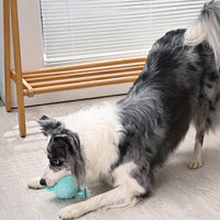 Puppy Garden Spring Watering Can Plush Squeaky Ball Dog Toy