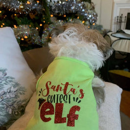House of FurBaby House of FurBaby - Holiday Pet Shirt and Tutu | Santa's Cutest Elf: Green / XXS- under 3 lbs / Tee Only