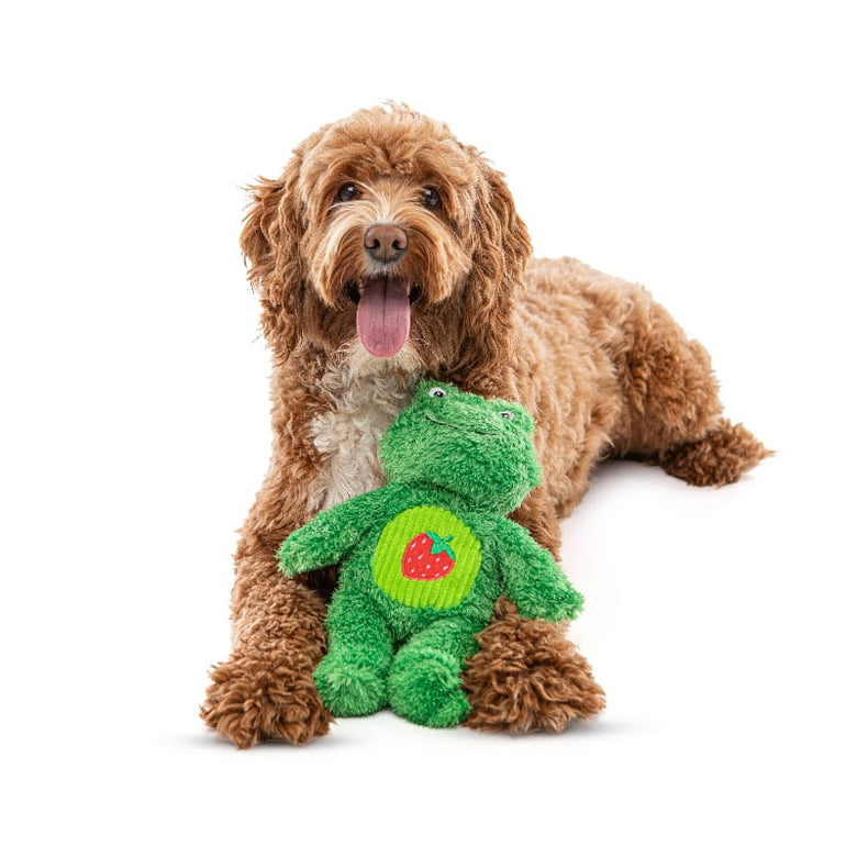 Guru Pet Company dog toys Soft Scents Frog Plush Dog Toy