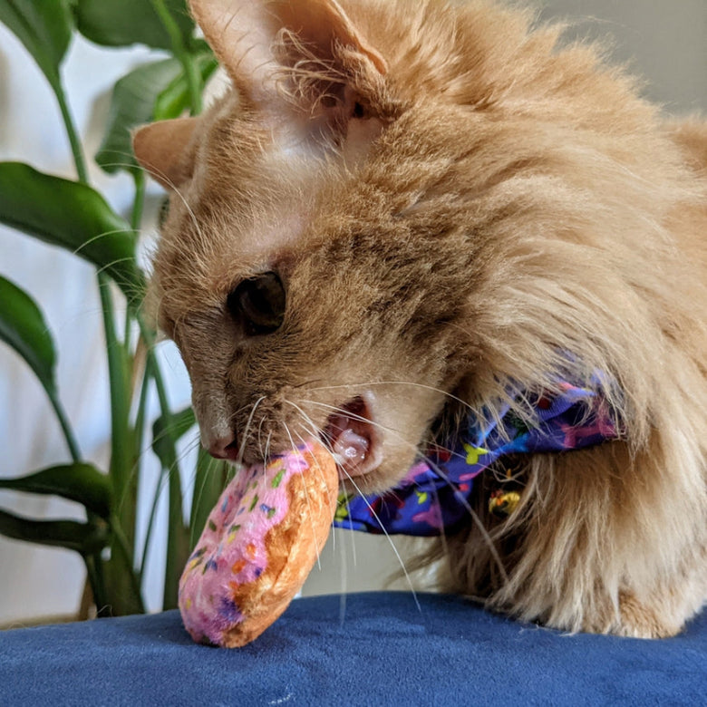 Strawberry Pink Donut Plush Cat Toy