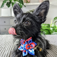 Huxley & Kent Bow Tie American Tie Dye Pinwheel Pet Collar Attachment - 2 Sizes