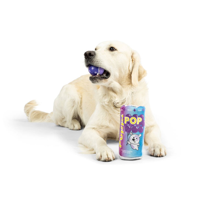 Huxley & Kent Huxley & Kent - Squeak 'n Peek Puppi Pop Grape Dog Toy: Small