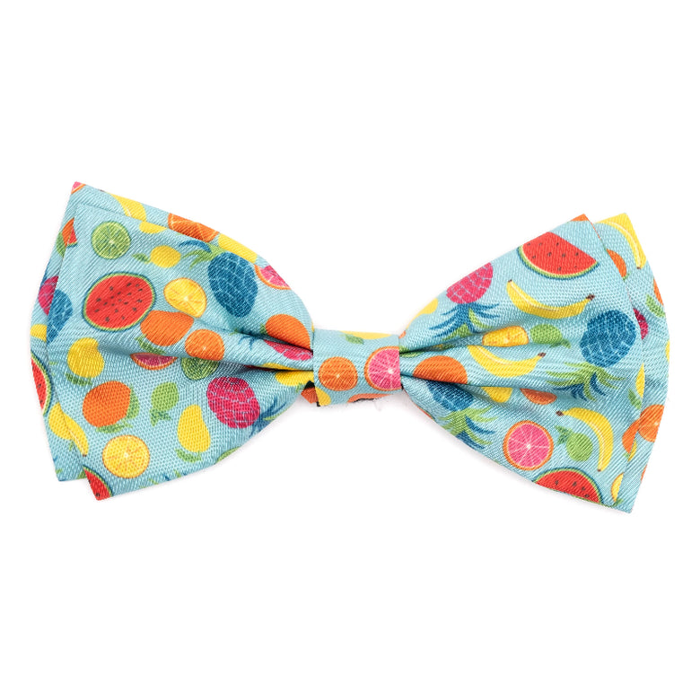 Tutti Frutti Light Blue Bow Tie Pet Collar Attachment - 2 Sizes