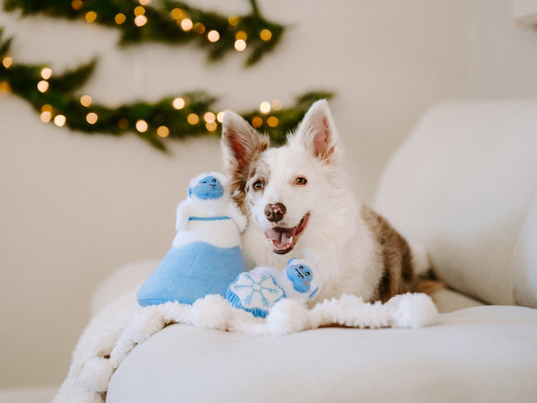 Yeti Mountain Holiday Burrow Christmas Interactive Dog Toy Set - 4 Pc
