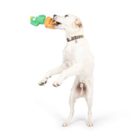Huxley & Kent Huxley & Kent - Seek 'n Treat Prickly Pawt Dog Toy: Small