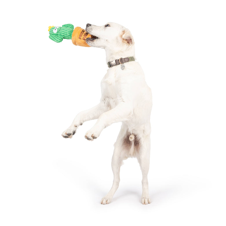 Huxley & Kent Huxley & Kent - Seek 'n Treat Prickly Pawt Dog Toy: Small