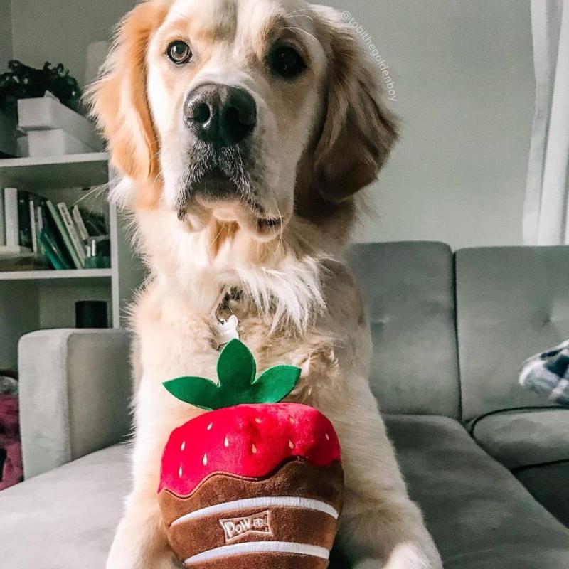 Huxley & Kent dog toys Chocolate Dipped Strawberry Plush Squeak Dog Toy - 2 Sizes