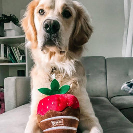 Huxley & Kent dog toys Chocolate Dipped Strawberry Plush Squeak Dog Toy - 2 Sizes