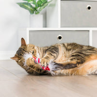 Christmas Holiday Lit Donut & Peppermint Candy Cat Toy Set - 2 Pk
