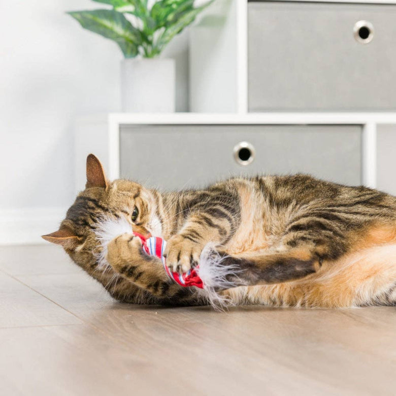 Christmas Holiday Lit Donut & Peppermint Candy Cat Toy Set - 2 Pk