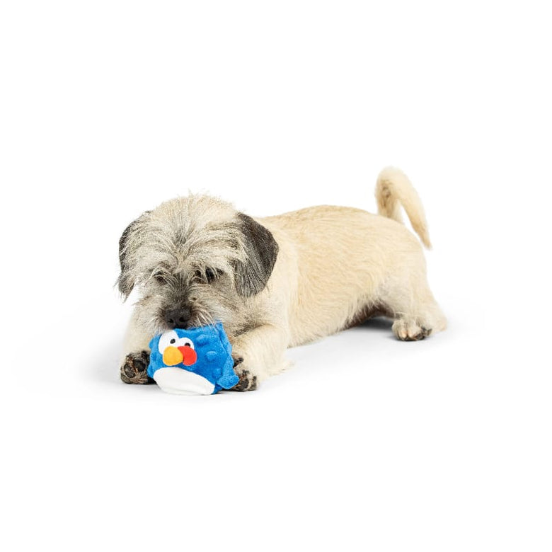 Huxley & Kent Dog Toys Tiny Tuff Chicken Gordon Bleu Plush Squeaky Dog Toy