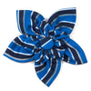 Prep Stripe Blue Flower Pet Collar Attachment - 2 Sizes