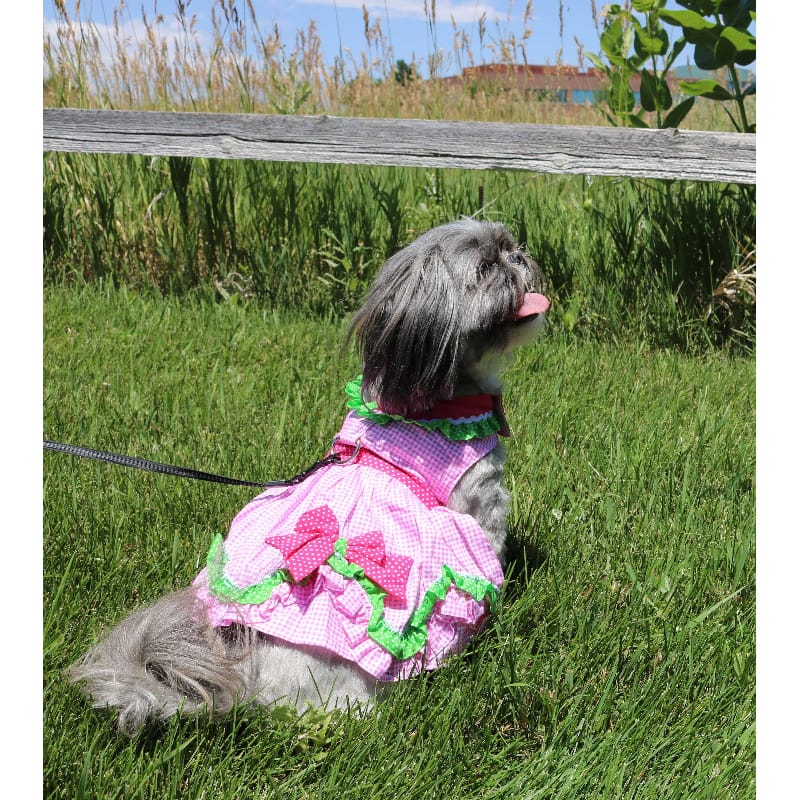 Doggie Design Dog Apparel Pink Watermelon Dog Harness Dress w/ Matching Leash