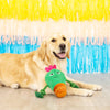 Petshop by Fringe Studio Dog Toys You Grow Chica! Spring Cactus Plush Squeak Dog Toy