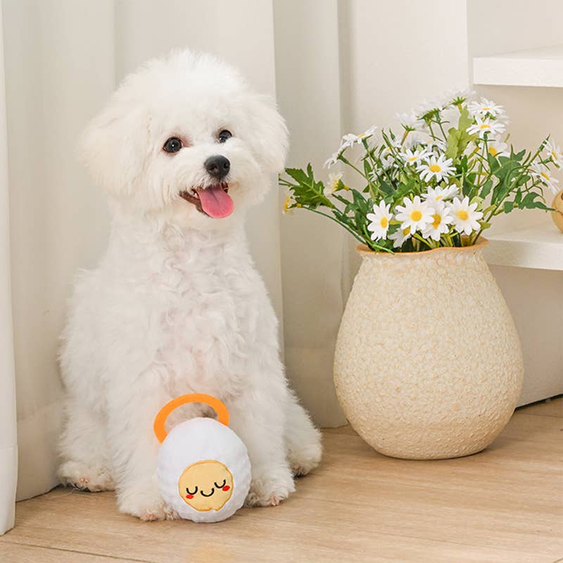 Hugsmart Products Inc dog toys Hoppin' Easter Good Egg Super Ball Plush Dog Toy