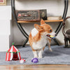 Hugsmart Products Inc dog toys Happy Circus Interactive Plush Squeak Dog Toy Set - 4 Pc