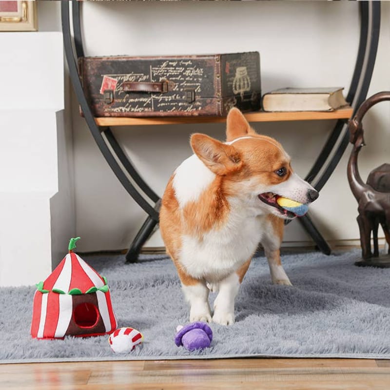 Hugsmart Products Inc dog toys Happy Circus Interactive Plush Squeak Dog Toy Set - 4 Pc