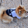 Sailor Halloween Tee Dog Costume