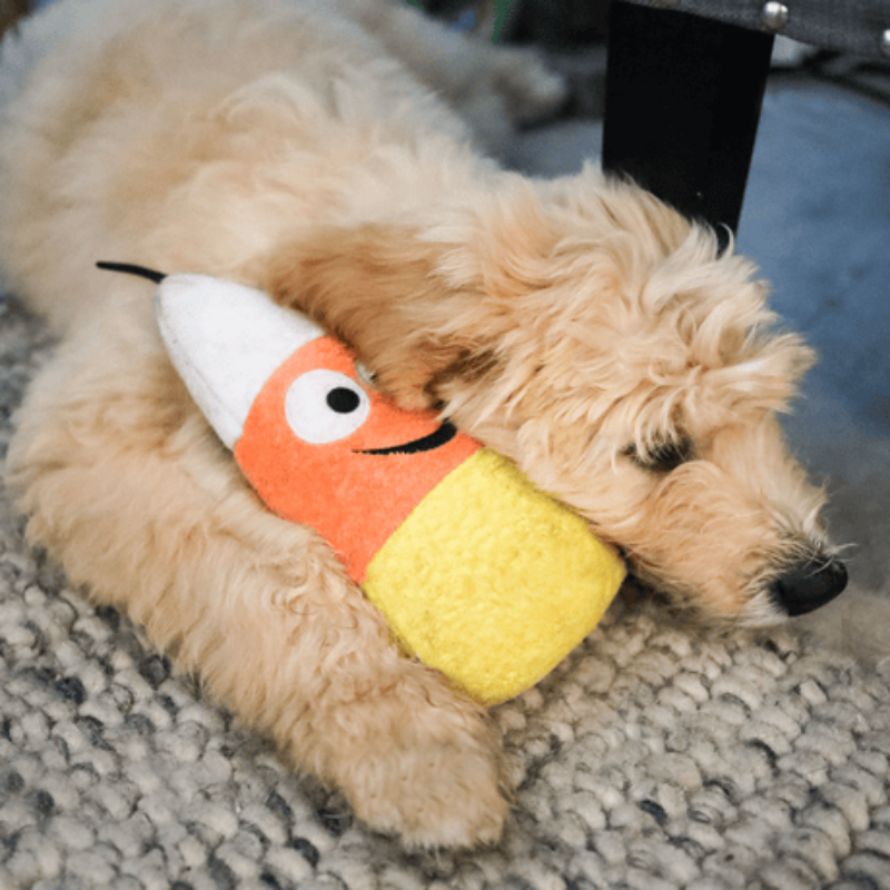Huxley & Kent Huxley & Kent - Kookie Korn Dog Toy